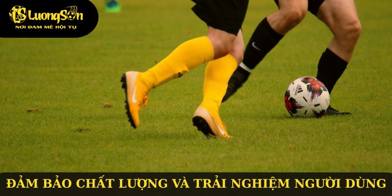Đảm bảo chất lượng và trải nghiệm người dùng